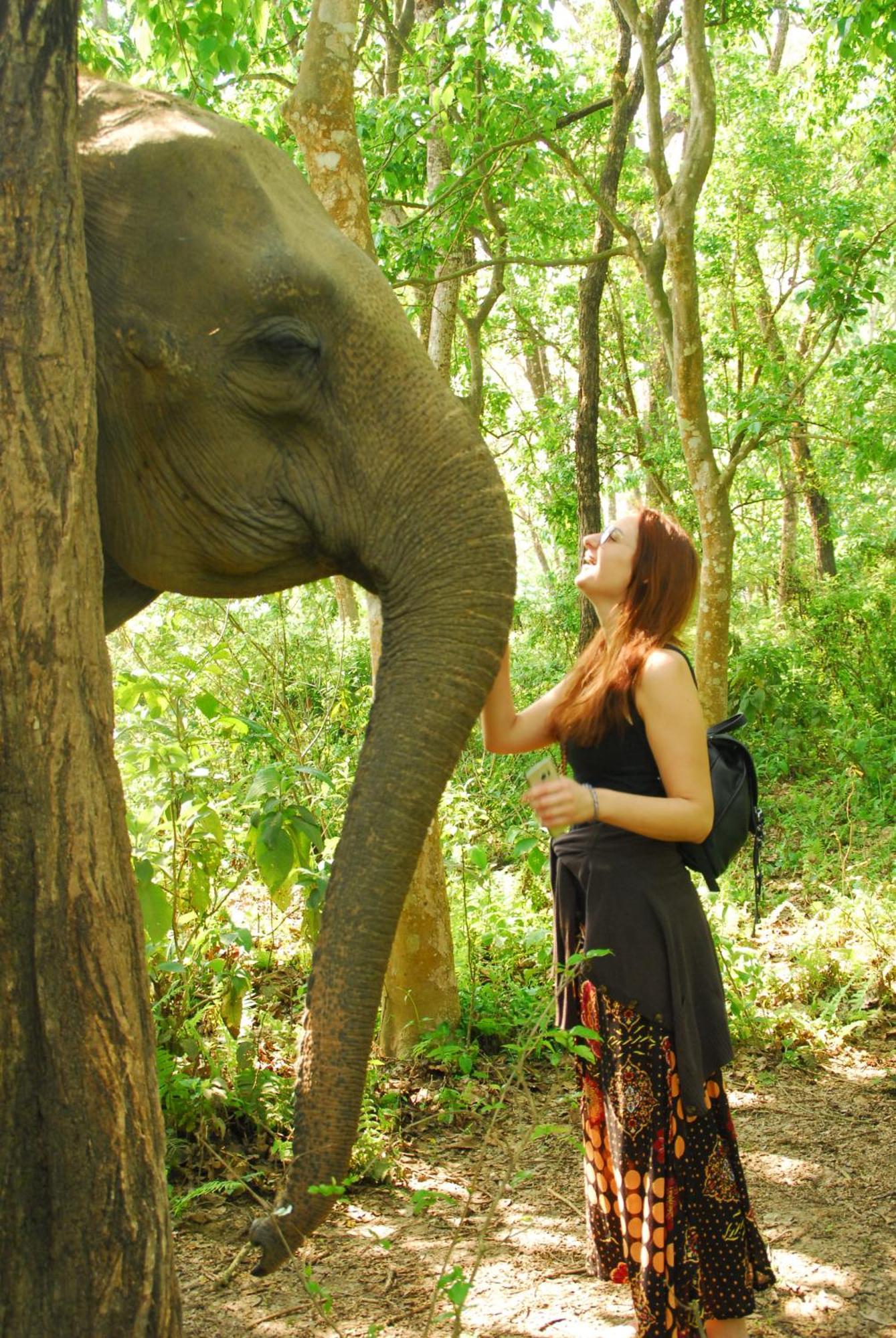 Hotel Garden Of Dreams Sauraha Exterior foto